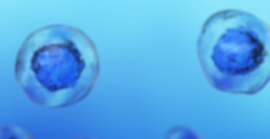 生命科学研究